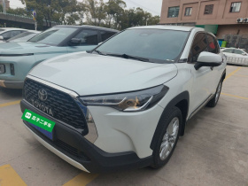 丰田 卡罗拉锐放 2023款 2.0L 先锋版