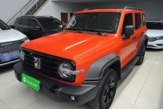 坦克300 2021款 越野版 2.0T 征服者