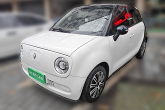 欧拉黑猫 2022款 301km 萌宠版 磷酸铁锂