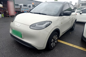 五菱汽车 五菱缤果 2024款 333km 灵犀互联款