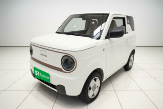 吉利银河 2024款 改款 熊猫mini 200km 龙腾版