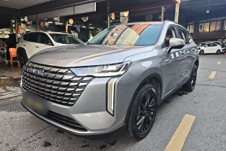 哈弗H6 2024款 1.5T 两驱Pro