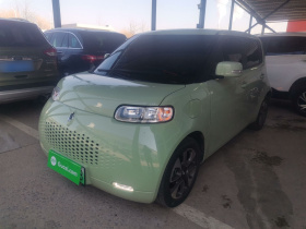 欧拉白猫 2020款 305km 豪华型