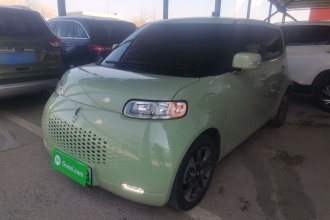 欧拉白猫 2020款 305km 豪华型