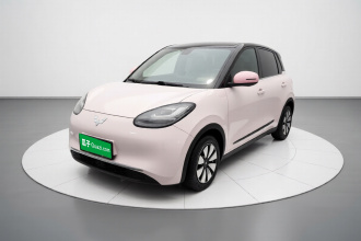 五菱汽车 五菱缤果 2023款 203km 舒享款