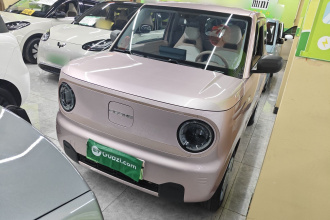 吉利银河 2023款 熊猫mini 200km 耐力熊