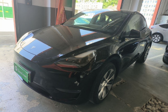 特斯拉 Model Y 2021款 长续航全轮驱动版