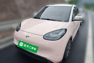 五菱汽车 五菱缤果 2024款 333km 悦享款