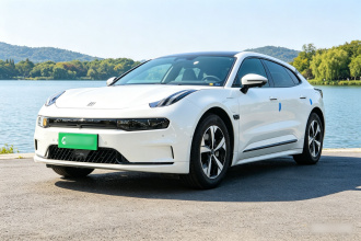 极氪001 2022款 长续航双电机 WE版