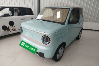 吉利银河 2024款 熊猫mini 200km 耐力熊