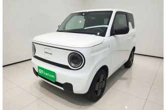 吉利银河 2024款 熊猫mini 200km 耐力熊