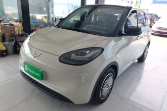 五菱汽车 五菱缤果 2024款 333km 悦享款
