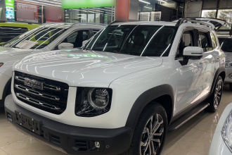 哈弗大狗 2021款 1.5T DCT两驱边牧版