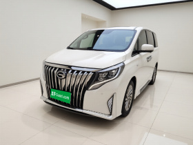 广汽传祺 传祺M8 2021款 大师系列 390T 至尊版