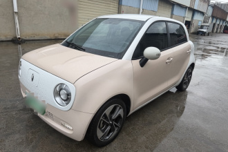 欧拉黑猫 2022款 351km 舒适型 三元锂