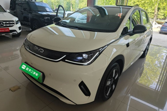 比亚迪 海豚 2025款 智驾版 410km 时尚版