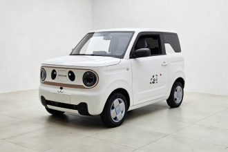 吉利银河 2023款 熊猫mini 200km 耐力熊