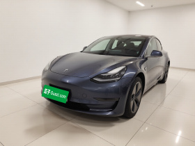 特斯拉 Model 3(进口) 2019款 长续航后驱版
