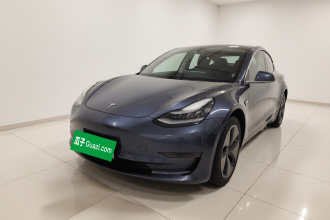 特斯拉 Model 3(进口) 2019款 长续航后驱版