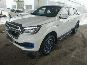 东风 锐骐6新能源 2020款 EV