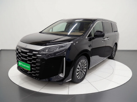 比亚迪 夏 2025款 DM-i 1.5T 180km 卓越型