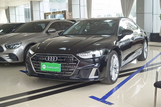 奥迪A7L 2024款 45 TFSI quattro 奢享型