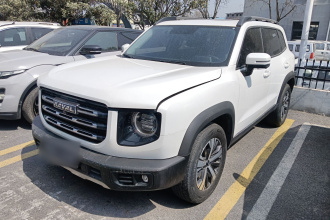 哈弗大狗 2022款 1.5T DCT两驱拉布拉多版