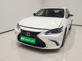 雷克萨斯ES 2022款 300h 卓越版