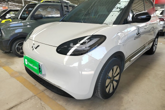 五菱汽车 五菱缤果 2024款 333km 悦享款