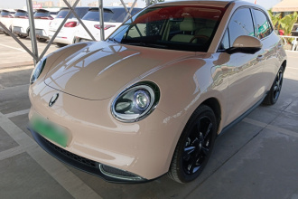 欧拉好猫 2024款 401km 豪华型