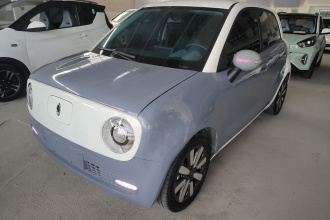 欧拉黑猫 2021款 351km 标准型