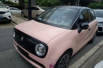 欧拉黑猫 2021款 301km 基础型