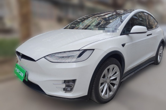 特斯拉 Model X 2020款 长续航升级版