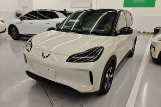 五菱汽车 五菱缤果PLUS 2024款 330km 五座版