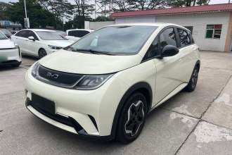 比亚迪 海豚 2025款 420km 活力版