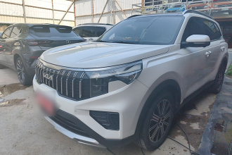 起亚 智跑 2021款 Ace 2.0L 精彩版