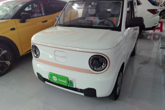 吉利银河 2024款 熊猫mini 200km 耐力熊