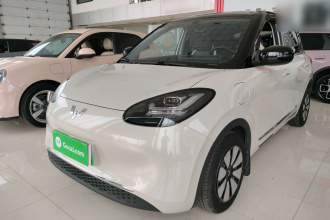 五菱汽车 五菱缤果 2023款 333km 悦享款