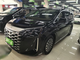 比亚迪 夏 2025款 DM-i 1.5T 180km 超越型