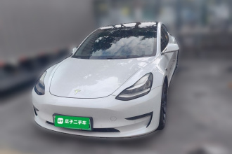 特斯拉 Model 3 2020款 改款 长续航后轮驱动版