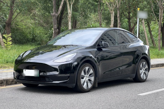 特斯拉 Model Y 2021款 标准续航后驱版
