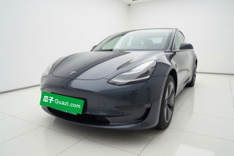特斯拉 Model 3 2020款 改款 长续航后轮驱动版