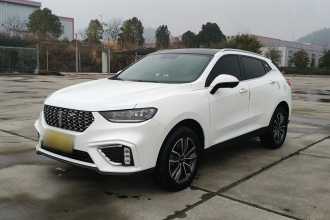 魏牌 VV5 2021款 1.5T 两驱智先锋