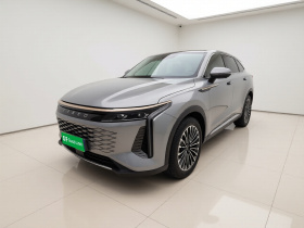 星途瑶光 2023款 400T 两驱优享飞鱼版