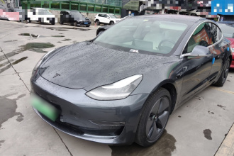 特斯拉 Model 3(进口) 2019款 长续航后驱版