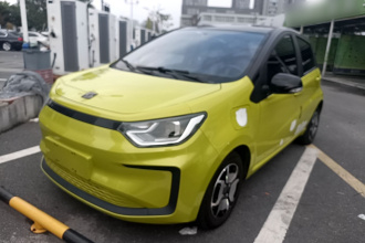 思皓 花仙子 2021款 302km 豪华型 31.4kWh