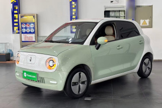 欧拉黑猫 2021款 301km 基础型