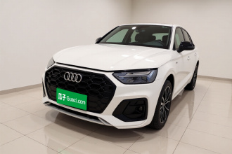 奥迪Q5L 2026款 45周年典藏版 40 TFSI 豪华动感型