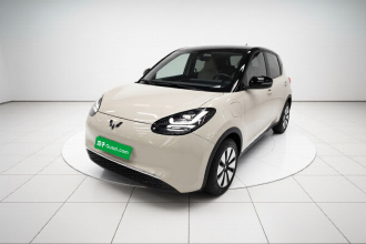 五菱汽车 五菱缤果 2024款 333km 悦享款