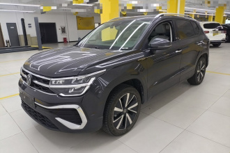 大众 途岳 2023款 300TSI 两驱皎月版